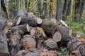 Pile of cut out firewood, close up Royalty Free Stock Photo