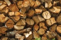 Pile of cut rustic wood in a sunny day