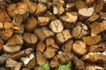 Pile of cut rustic wood in a sunny day