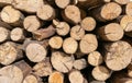 Pile of cut tree logs wood texture background. Tree trunks. Firewood stack for the background. Royalty Free Stock Photo