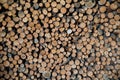 Pile of cut wood Royalty Free Stock Photo