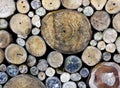 A pile of cut wood stump Royalty Free Stock Photo