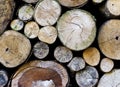 A pile of cut wood stump Royalty Free Stock Photo