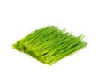 Pile of cutting wheat grass for making juice Royalty Free Stock Photo