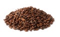 Pile of dark malted barley seeds