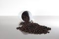 Pile of dark roasted coffee beans falling out of a white cup Royalty Free Stock Photo