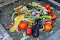 Pile of decomposed vegetables in a composter.