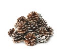 Pile of decorational cones isolated Royalty Free Stock Photo