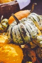 Decorative mini pumpkins and gourds, on locale farmers market; autumn background Royalty Free Stock Photo