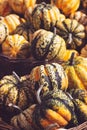 Pile of decorative mini pumpkins and gourds, on locale farmers market; autumn background