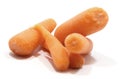 Pile of delicious baby carrots Royalty Free Stock Photo