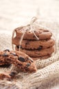 Pile of delicious chocolate chip cookies Royalty Free Stock Photo