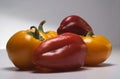 pile of different colors peppers Royalty Free Stock Photo