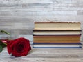 A pile of different coloured old books and a red rose on white wood background. Reading habits. Memories. Retro style. Royalty Free Stock Photo