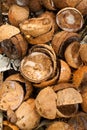 Pile of discarded coconut husks