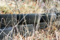 Pile of discarded Old tyres on the grass