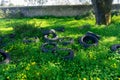 Pile of discarded tires in the field, polluting the environment.