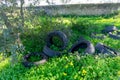 Pile of discarded tires in the field, polluting the environment.