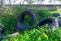 Pile of discarded tires in the field, polluting the environment.