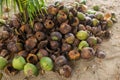 A pile of discarded used coconut husks, lots of brown and greens.