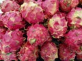 Pile of dragon fruits in supermarket. Tropical fruit. Royalty Free Stock Photo