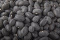 A pile of Dried Beans Royalty Free Stock Photo