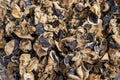 Pile of dried black fungus close-up Royalty Free Stock Photo