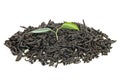 Pile of dried black tea with fresh green tea leaves isolated on white background Royalty Free Stock Photo