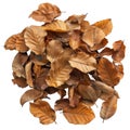 A Pile of Dried Brown Leaves Isolated on Black Background Royalty Free Stock Photo