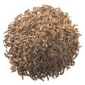 Dried caraway seeds pile, paths, top