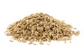 Pile dried of caraway seeds isolated on a white background. Cumin seeds pile isolated on white background. Pile of Carum