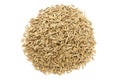 Pile dried of caraway seeds isolated on a white background, top view. Cumin seeds pile isolated on white background