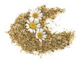 Pile of dried chamomile with fresh chamomile flowers isolated on a white background Royalty Free Stock Photo