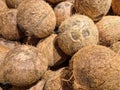 Pile of dried coconut. Royalty Free Stock Photo