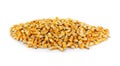 Dried corn seeds isolated on white background. Royalty Free Stock Photo