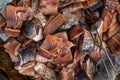 Pile of dried freshwater fish displayed at a local market.