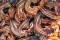 Pile of dried snakehead fish displayed at a local market.