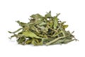 Pile of dried stevia rebaudiana bertoni isolated on white Royalty Free Stock Photo