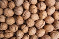Pile of dried walnuts Royalty Free Stock Photo