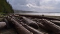 Pile of driftwood at sand beach in Florencia Bay with rough sea in Pacific Rim National Park Reserve on Vancouver Island, Canada. Royalty Free Stock Photo