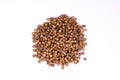 A pile of a dry coriander seeds isolated Royalty Free Stock Photo