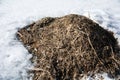 Pile of dry debris, grass in the spring against a background of snow Royalty Free Stock Photo