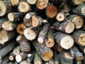 Pile of dry firewood. Split wood. tree for winter time heating. Cross section of tree trunk. Royalty Free Stock Photo