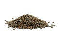 Pile of dry french green puy lentils, isolated