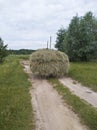 A pile of dry grass. Transportation from the field.