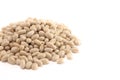Pile of Dry Navy Beans Isolated on a White Background