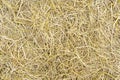 Pile of dry rice chaff Royalty Free Stock Photo