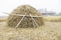 Pile of dry rice straw and local wood tool shine up before processing for rice grain Royalty Free Stock Photo