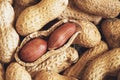 Roasted peanuts salted, in shell i Royalty Free Stock Photo