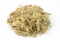 Pile of dry sphagnum moss. Used for orchid transplanting to retains moisture Royalty Free Stock Photo